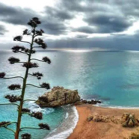 Apartamento De 3 En Calella, Con Magnificas Vistas Al Mar, Terra... Appartement Calella